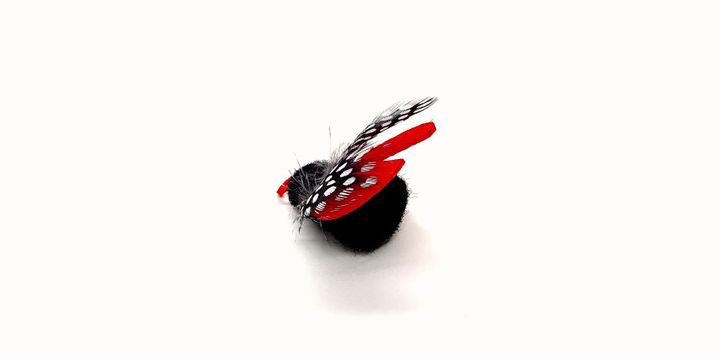 image_182D96D8-E272-4976-BD02-B460EFCD8BAD_1741016585