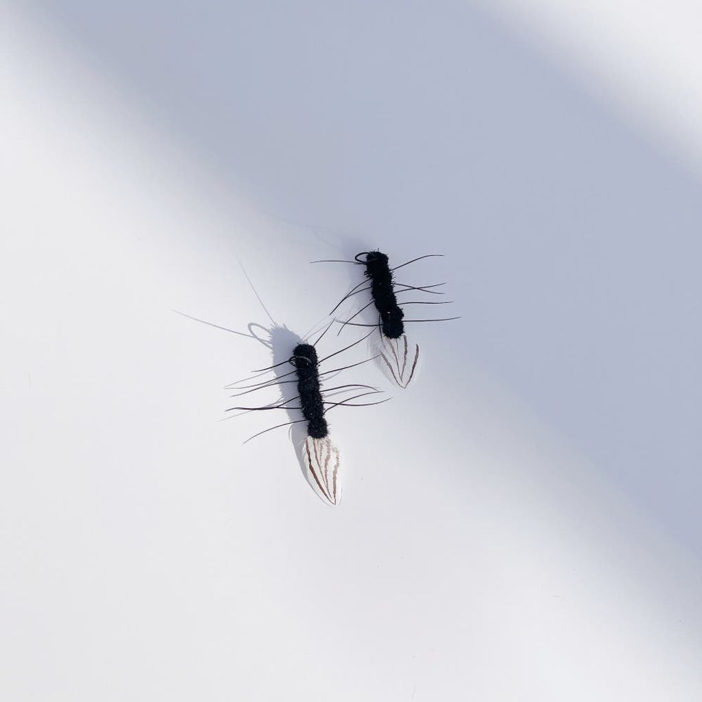 image_C2E3407A-025E-4C34-87F8-0EE097DABFCE_1743994685
