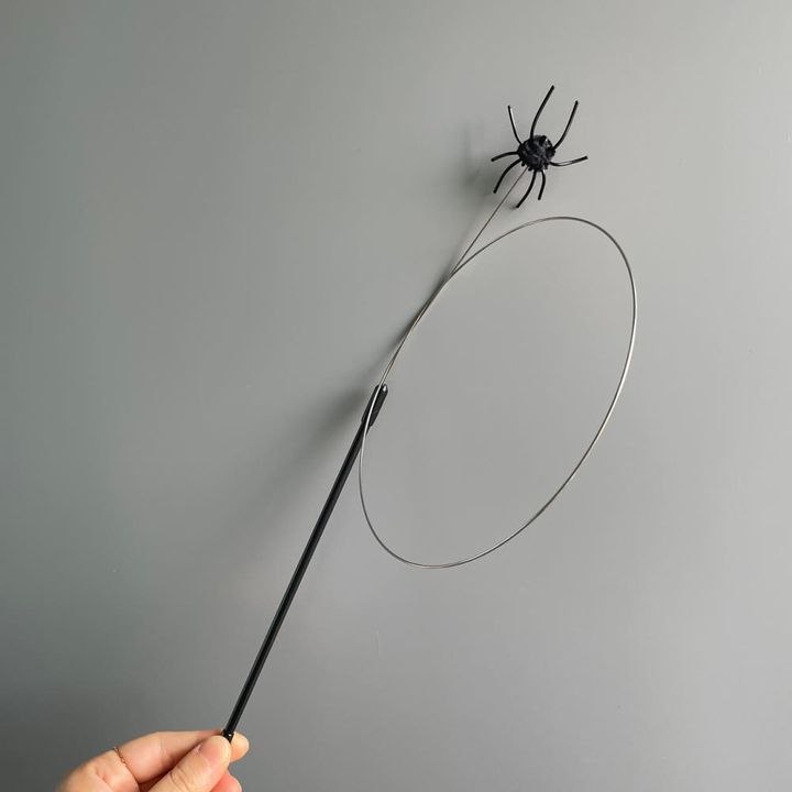 image_B96939ED-DEEA-4C3A-8B0F-54AA2503F19C_1744032181