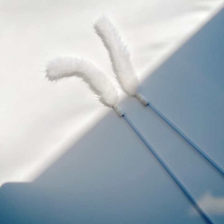 image_5FA701C6-1F29-4190-BC59-1C907C175630_1744032330