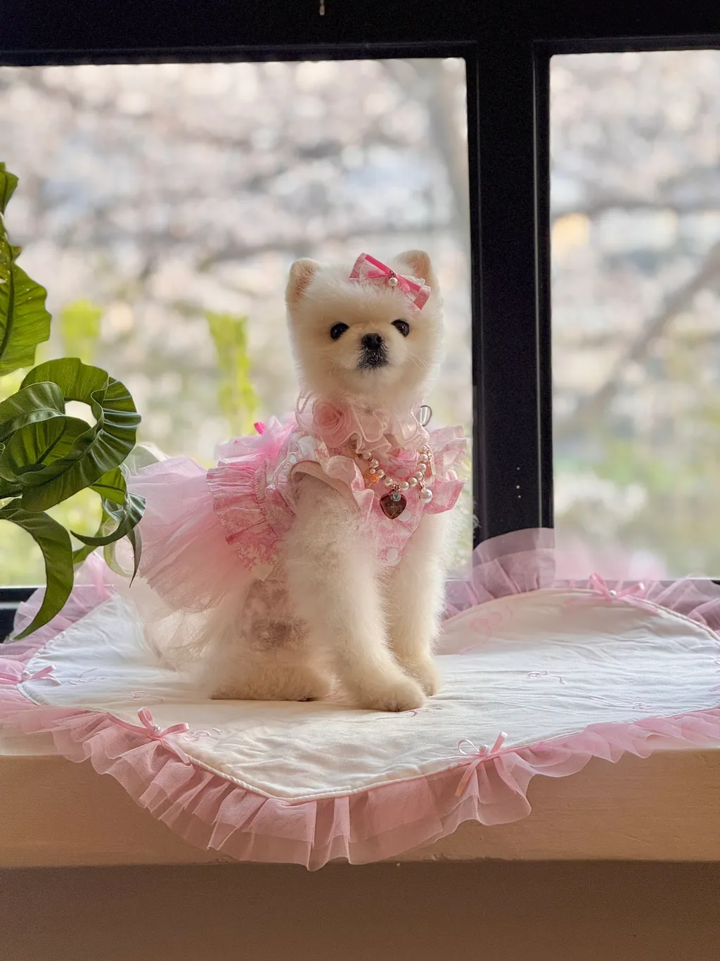 image_7311F5CB-E7AF-4B6E-AAF5-B88B8ADA7A90_1744136580