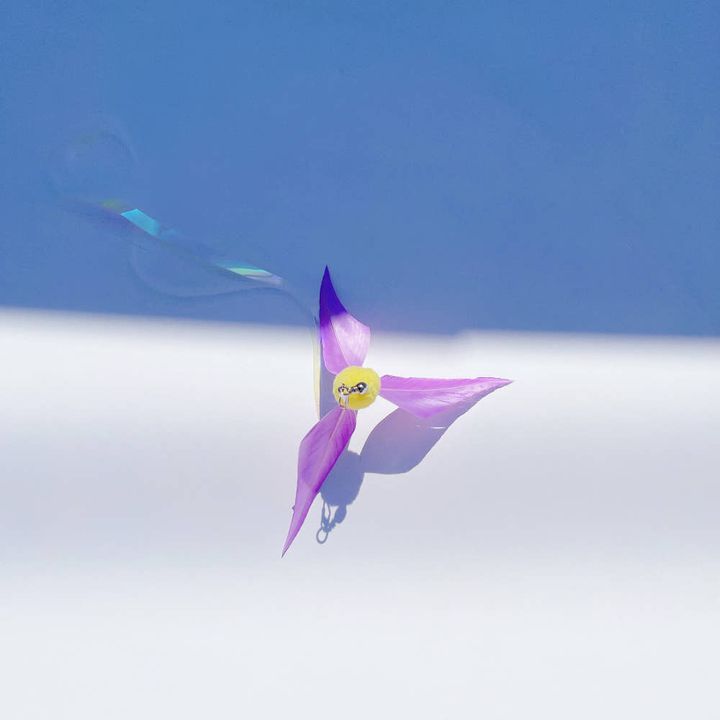 image_14213F15-F34F-4E9F-A276-AB8F68DA48EE_1752228569