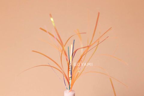 image_9CE35AF7-8F36-433D-BE53-30877FF3A9B7_1752481677