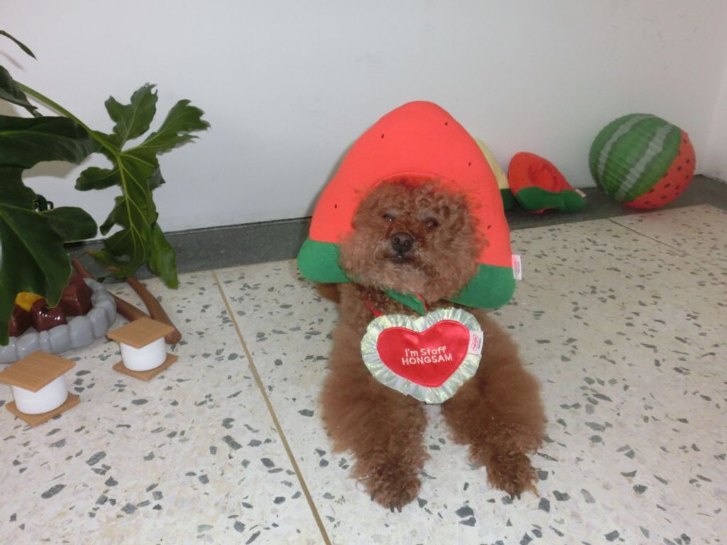 image_63FA67B4-FFAD-4B0A-8E86-5C3E41B7CC62_1752670649