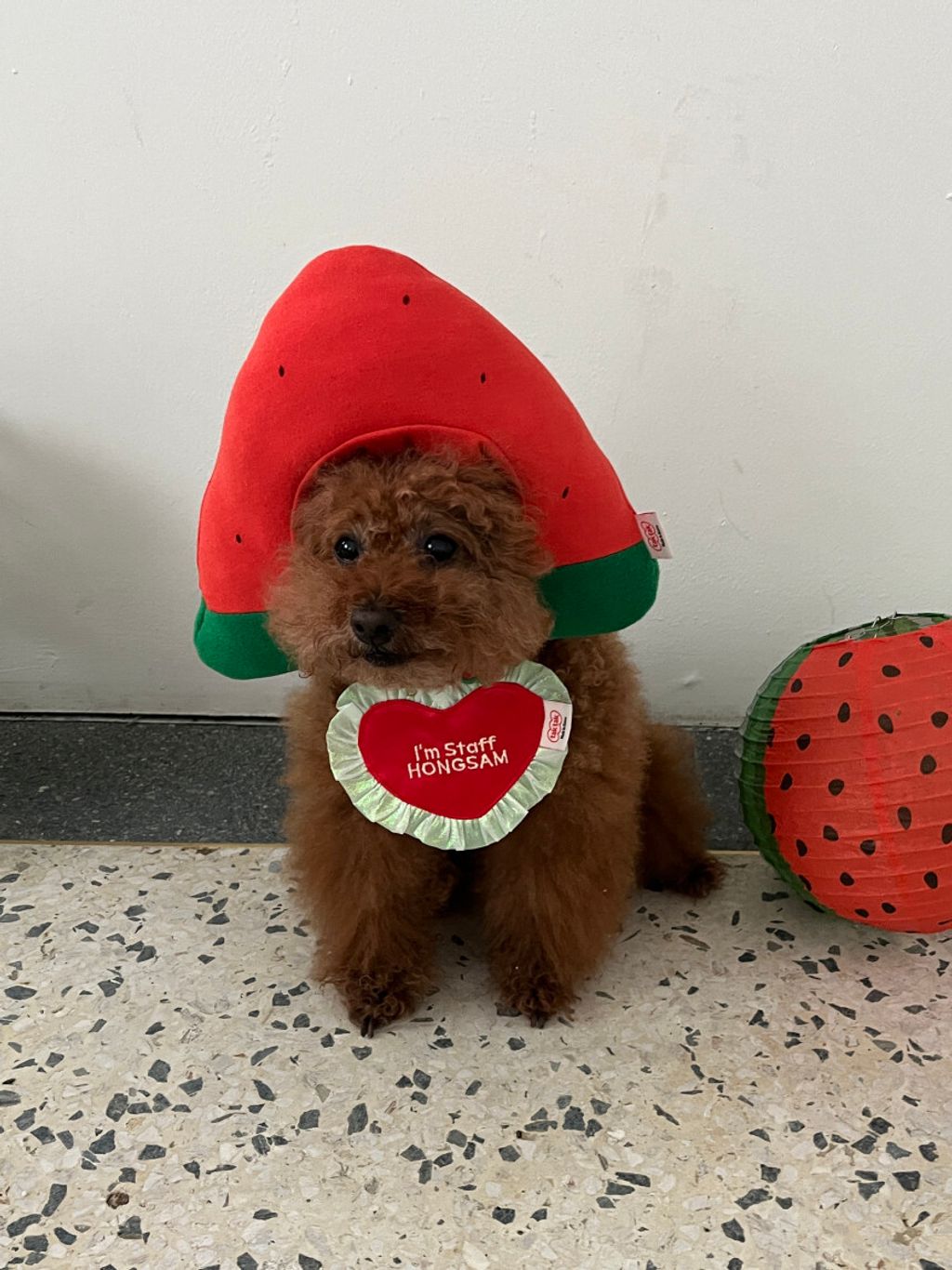 image_C3DFB83C-EF0C-45FB-84BD-20B270EDFDD1_1752670649