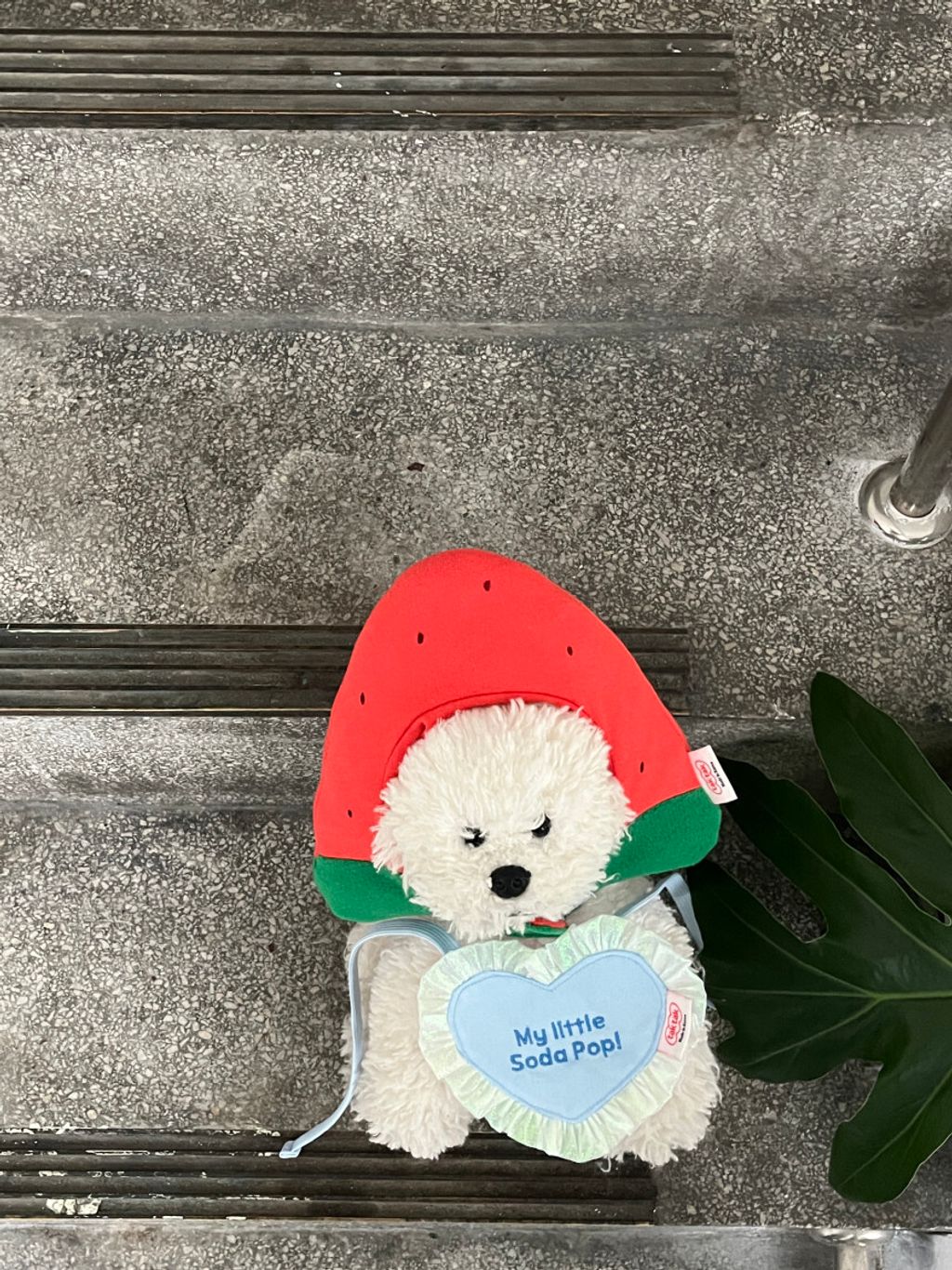 image_B98D7FE3-D478-4662-8D67-F01D9803513A_1752670649