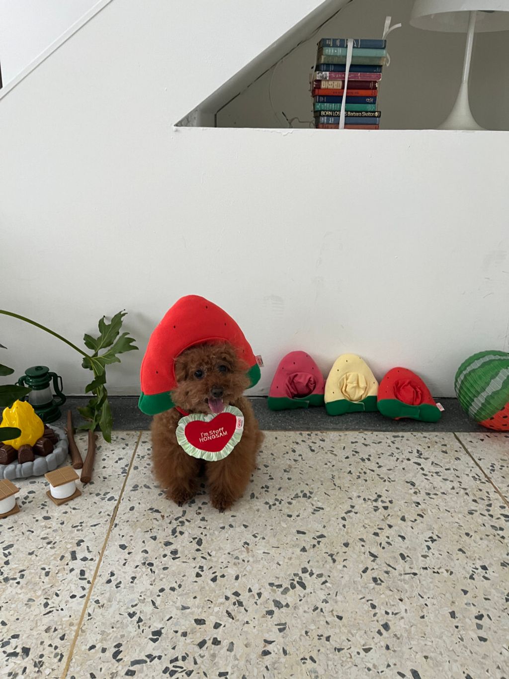 image_9B73E4AF-BCA7-40D5-B509-50B3F34EEF27_1752670649