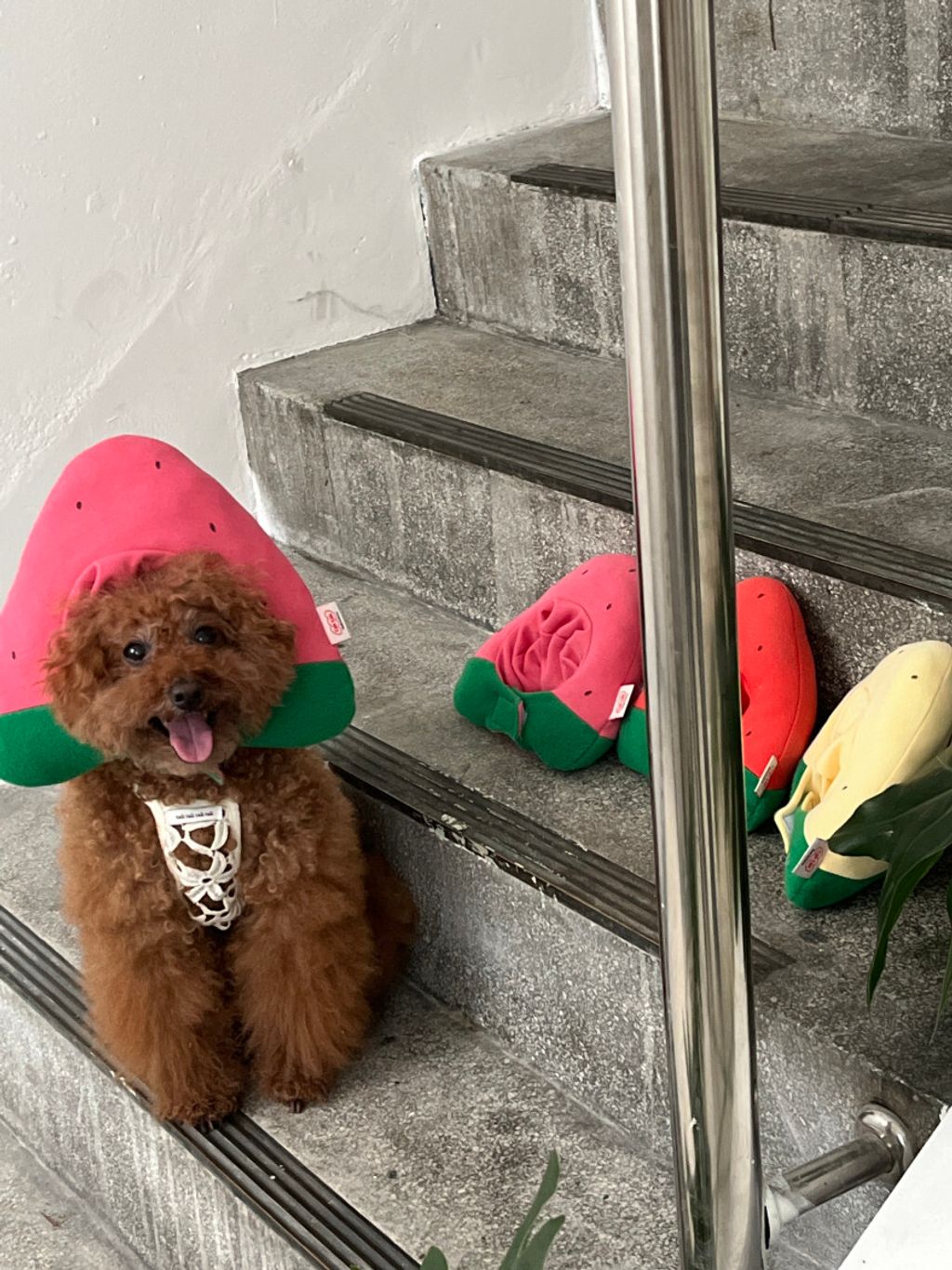 image_6058B3BA-52E3-4238-A9C4-E62186EDFC75_1752670649