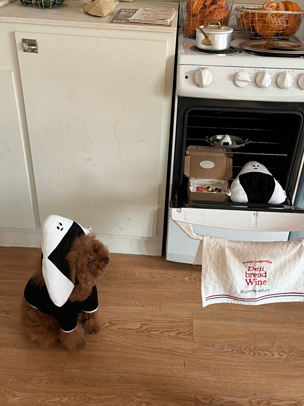 image_8160E340-38EA-4EDB-8757-D76E1DD3E622_1752671370