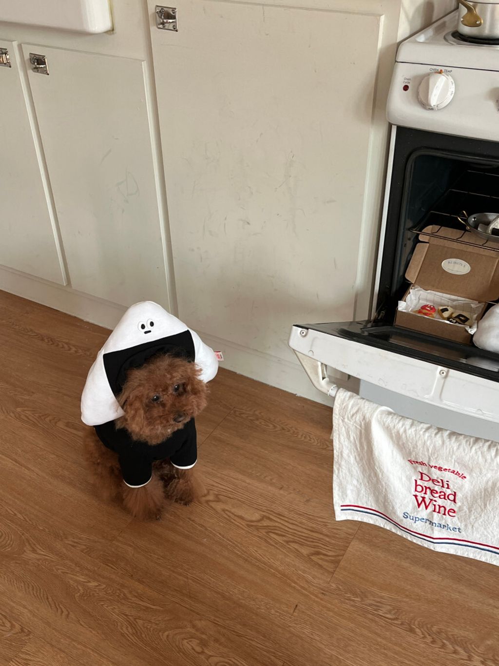 image_9CBB7F92-DB12-4412-A666-03870A4FE464_1752671370