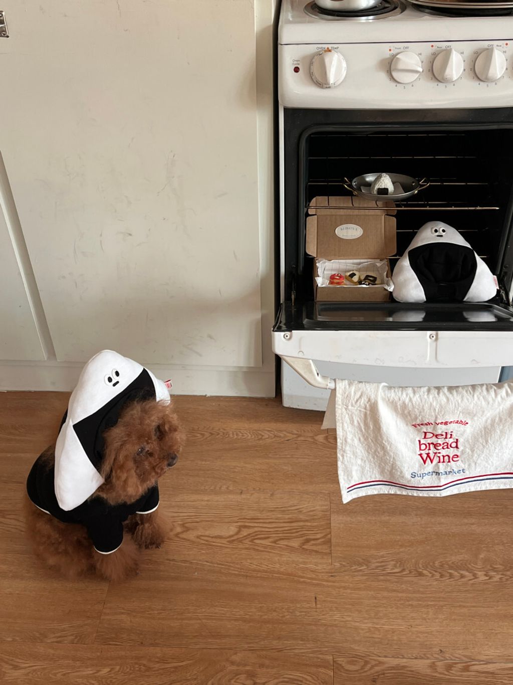 image_A132B84A-9753-4DED-9B5C-3CF6EFEED833_1752671370