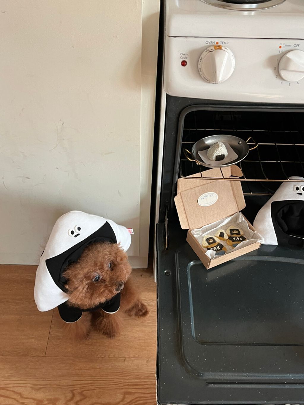 image_B060DD8E-B63E-4986-84E2-956893511FE9_1752671370