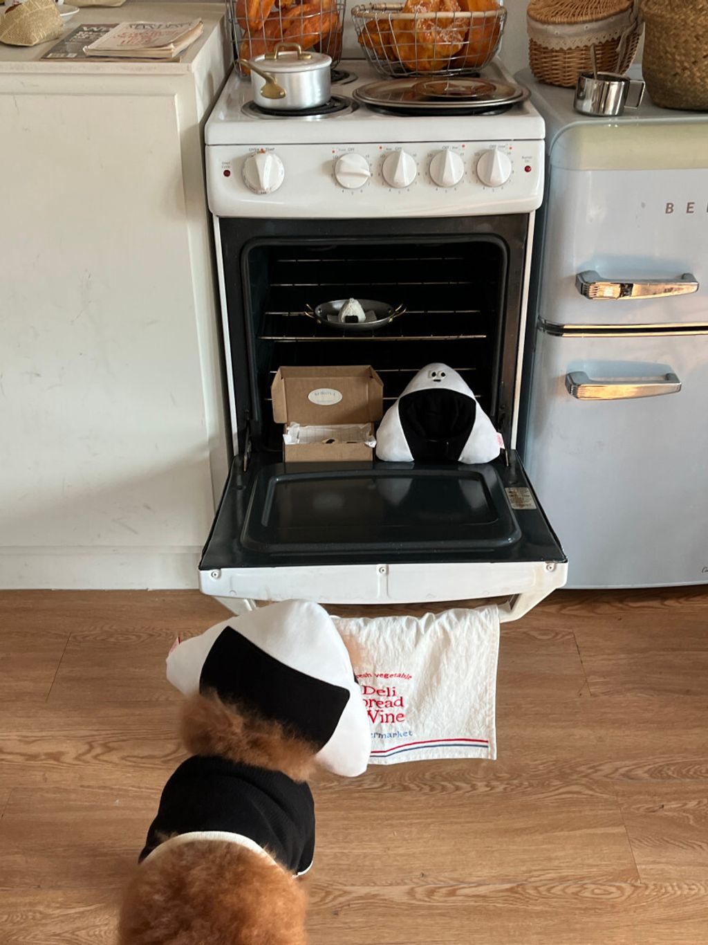 image_1CCCE2D4-5F1B-4652-A401-5910C06B0550_1752671370