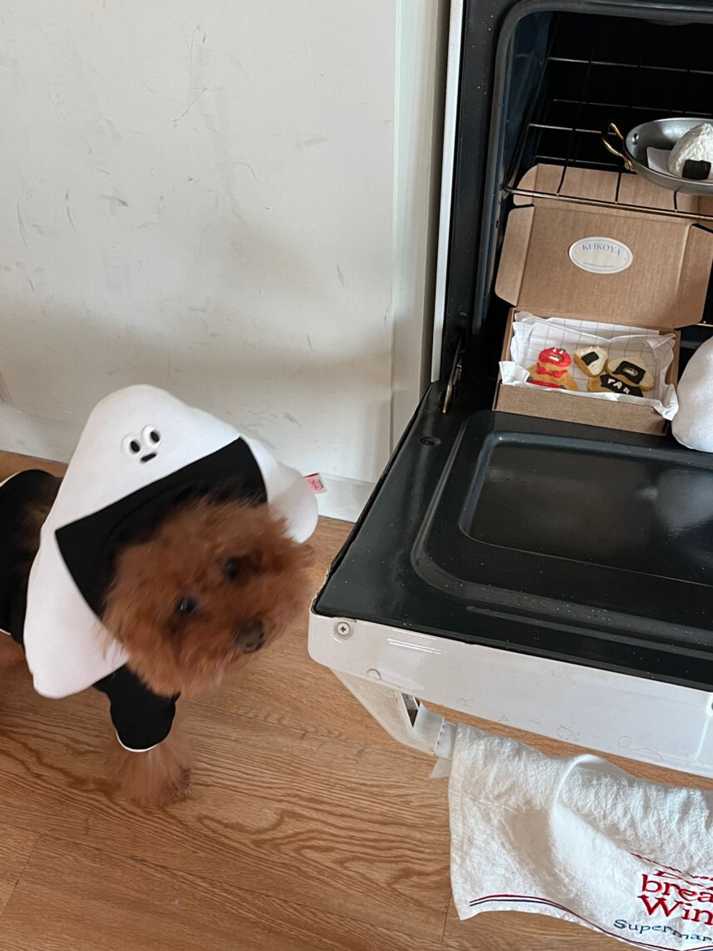 image_C0F1B312-D257-4CE9-8F7A-1C6006475640_1752671370