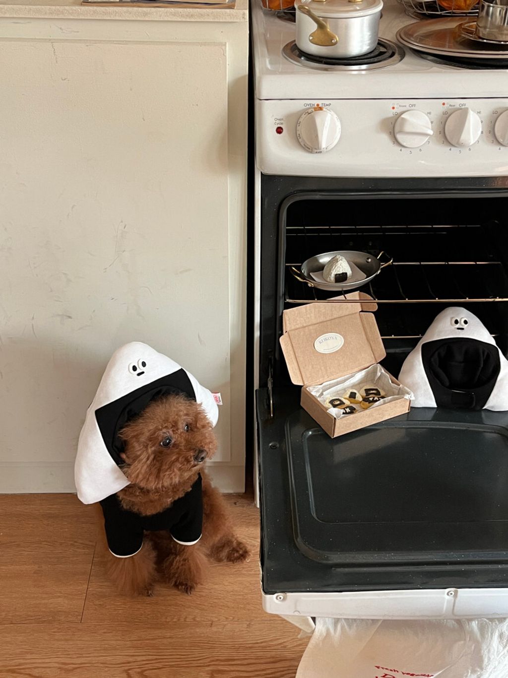 image_67D8CD48-18FE-4D00-B107-CF943FEBC3AF_1752671370