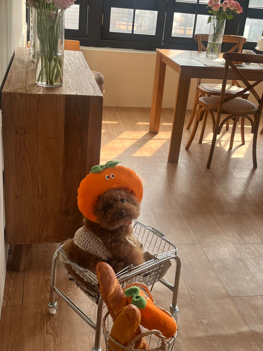 image_8617745F-5476-4724-A979-036F83E9542A_1752671370