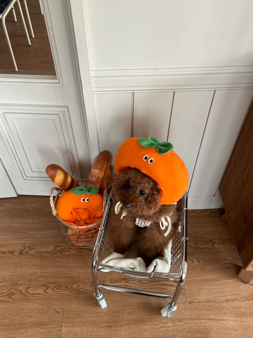 image_DB5A104B-6A75-4A99-B7BA-DE4499909AC5_1752671370