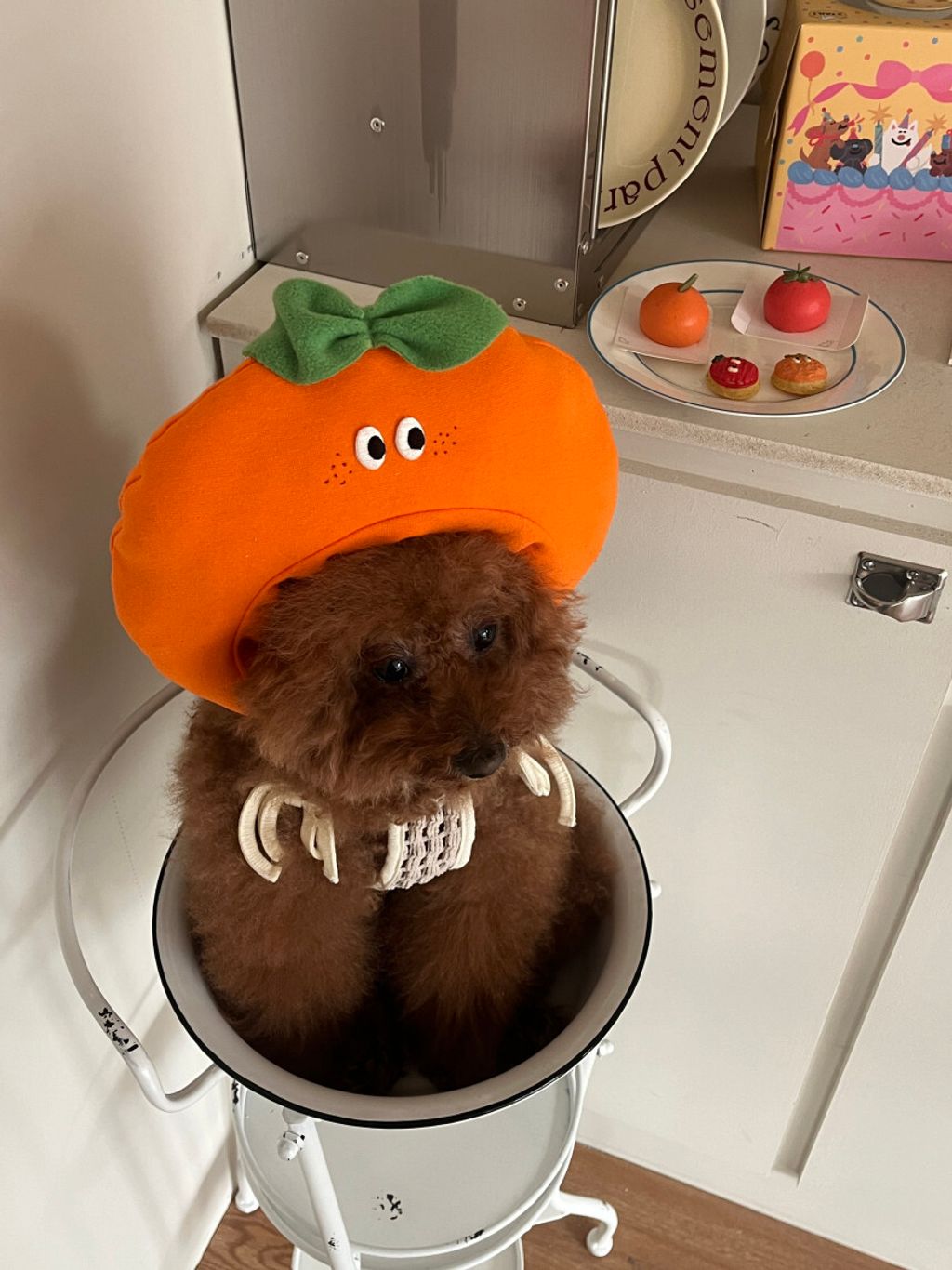 image_85EF667D-9622-4D61-A487-2E7207D19117_1752671371