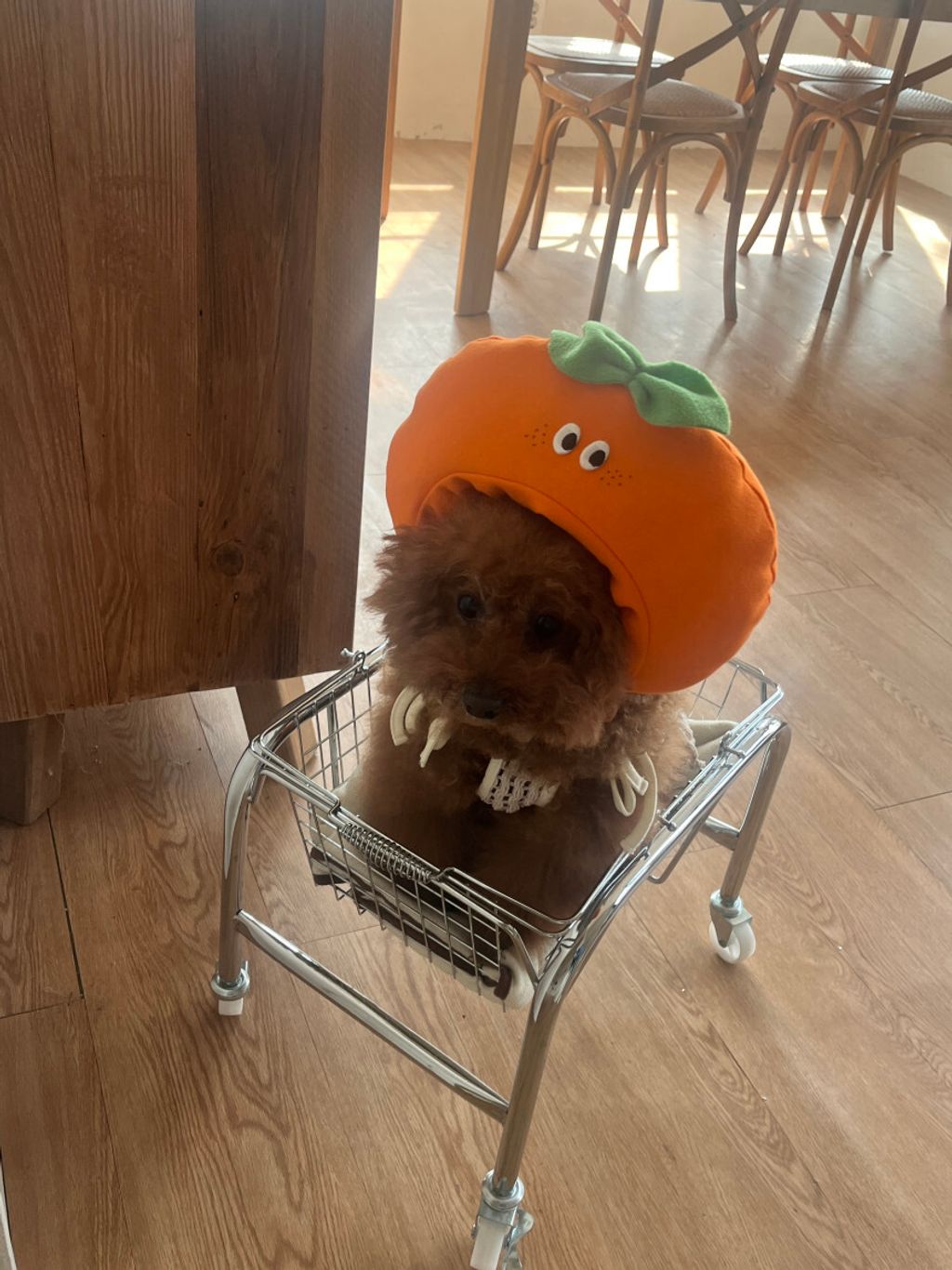 image_6DE35FC3-DCAD-459A-889D-79EE4DFF9B69_1752671371