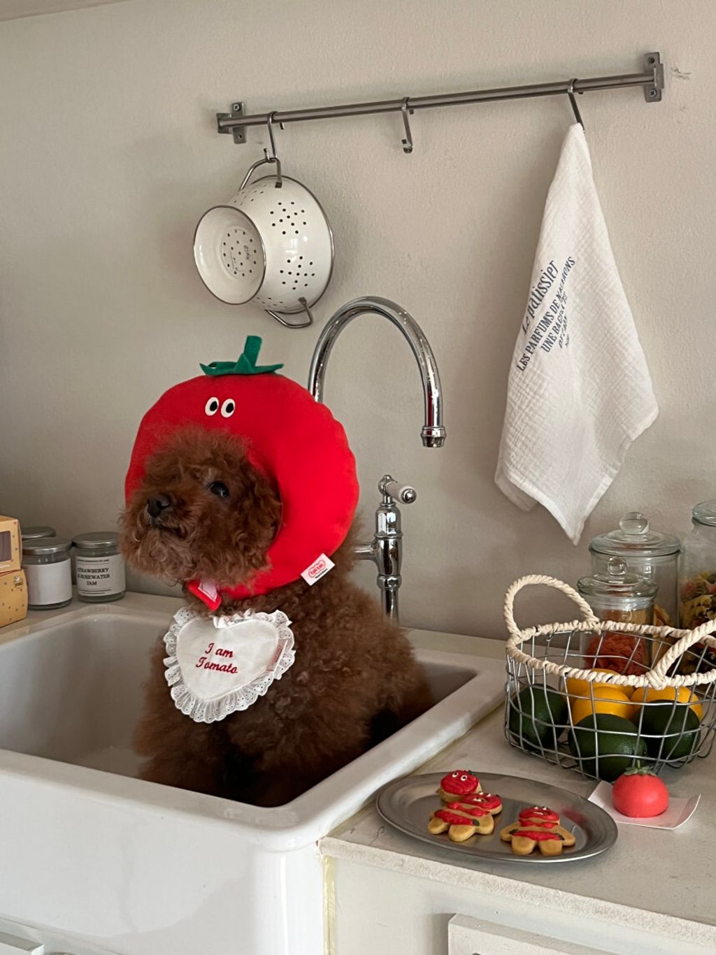 image_C5508C64-A94B-4643-B074-EFA565ABAB60_1752671371