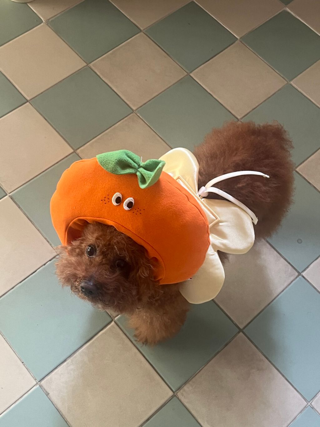 image_7F10BA7D-5674-4DE8-8995-09A51DACBA42_1752671371