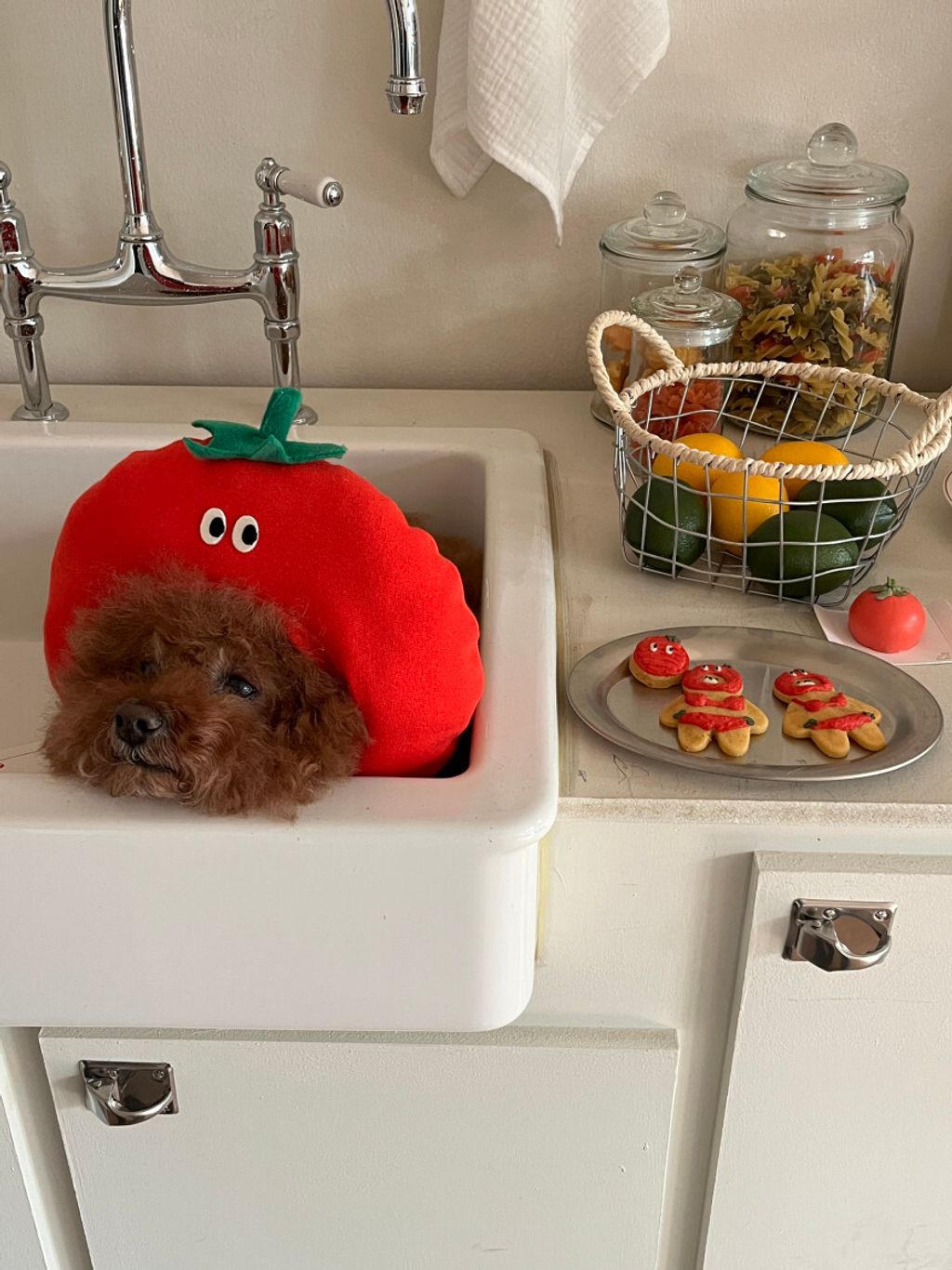 image_F464BECB-C609-49D5-9832-DBD278E82EFA_1752671371