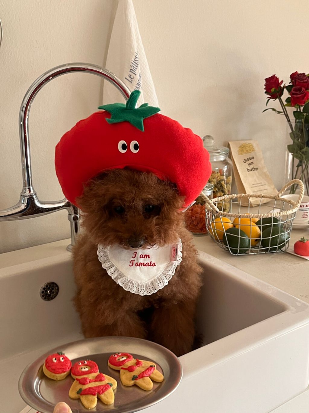 image_CEE6BD3F-B6EA-4426-92BE-E54A898D4DEF_1752671371