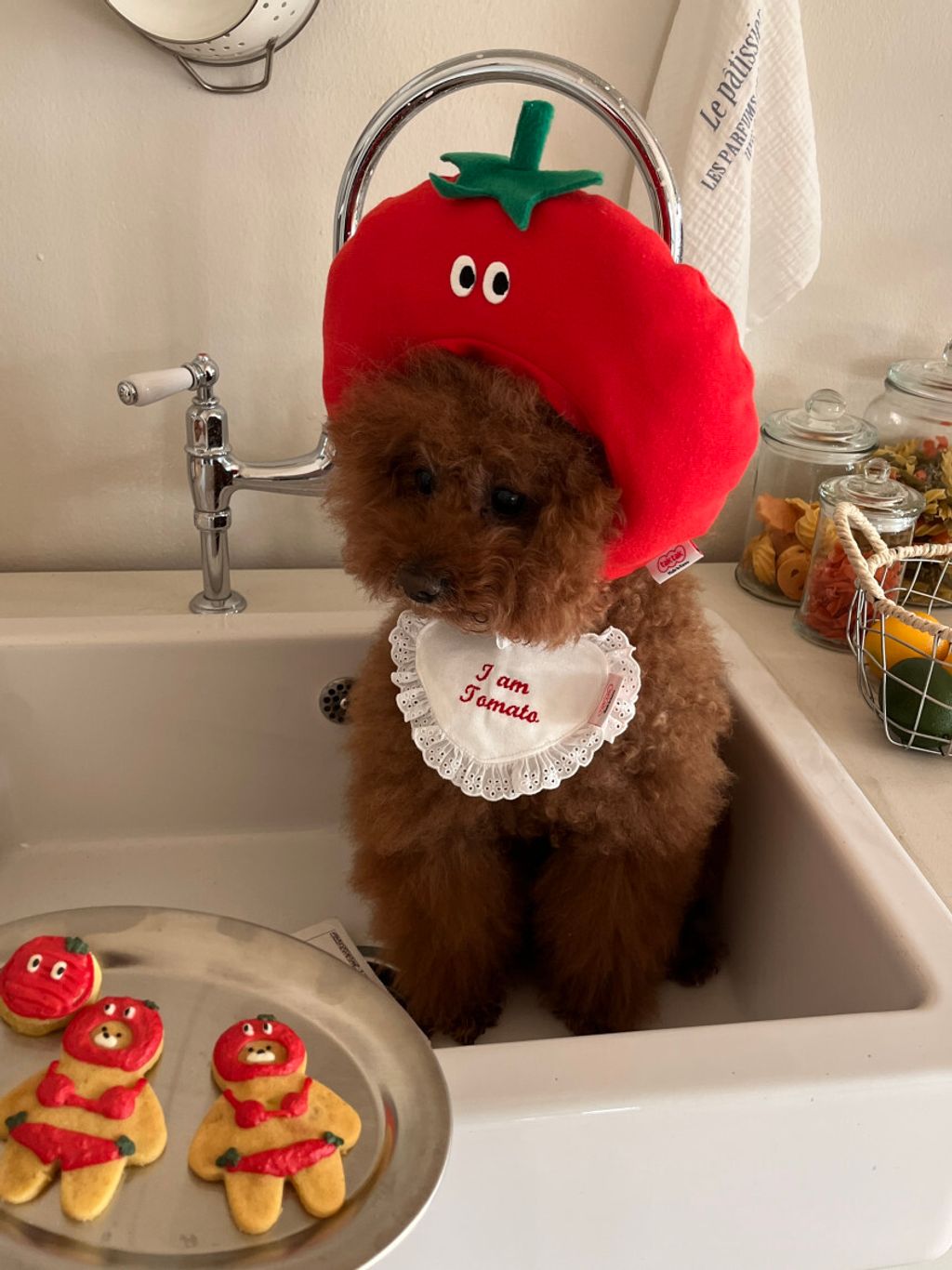 image_FB87008B-F346-40E4-9E20-6531BB19FFC0_1752671371