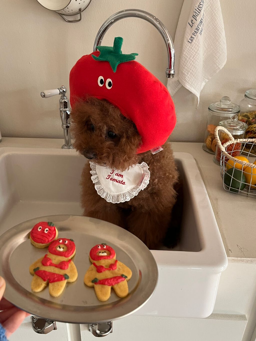 image_9DA17D93-40DF-4476-BAD7-C607A2860654_1752671371