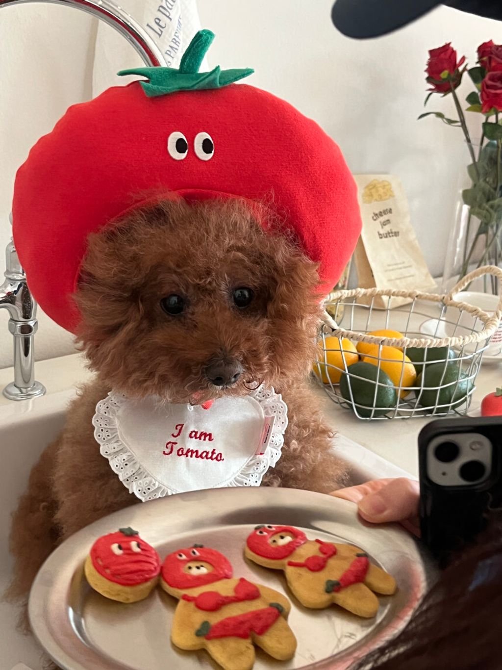 image_8470787C-CD86-41FE-B307-09845689ABEF_1752671371