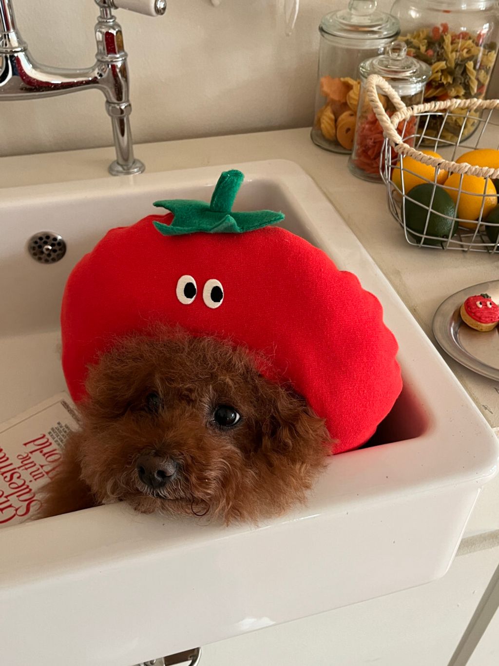 image_682755EB-F34D-4682-AB11-4F2753F1D62A_1752671371