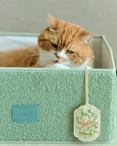 image_5A7E32B7-7FD1-4B1B-AEF8-955F96AAB294_1752781311