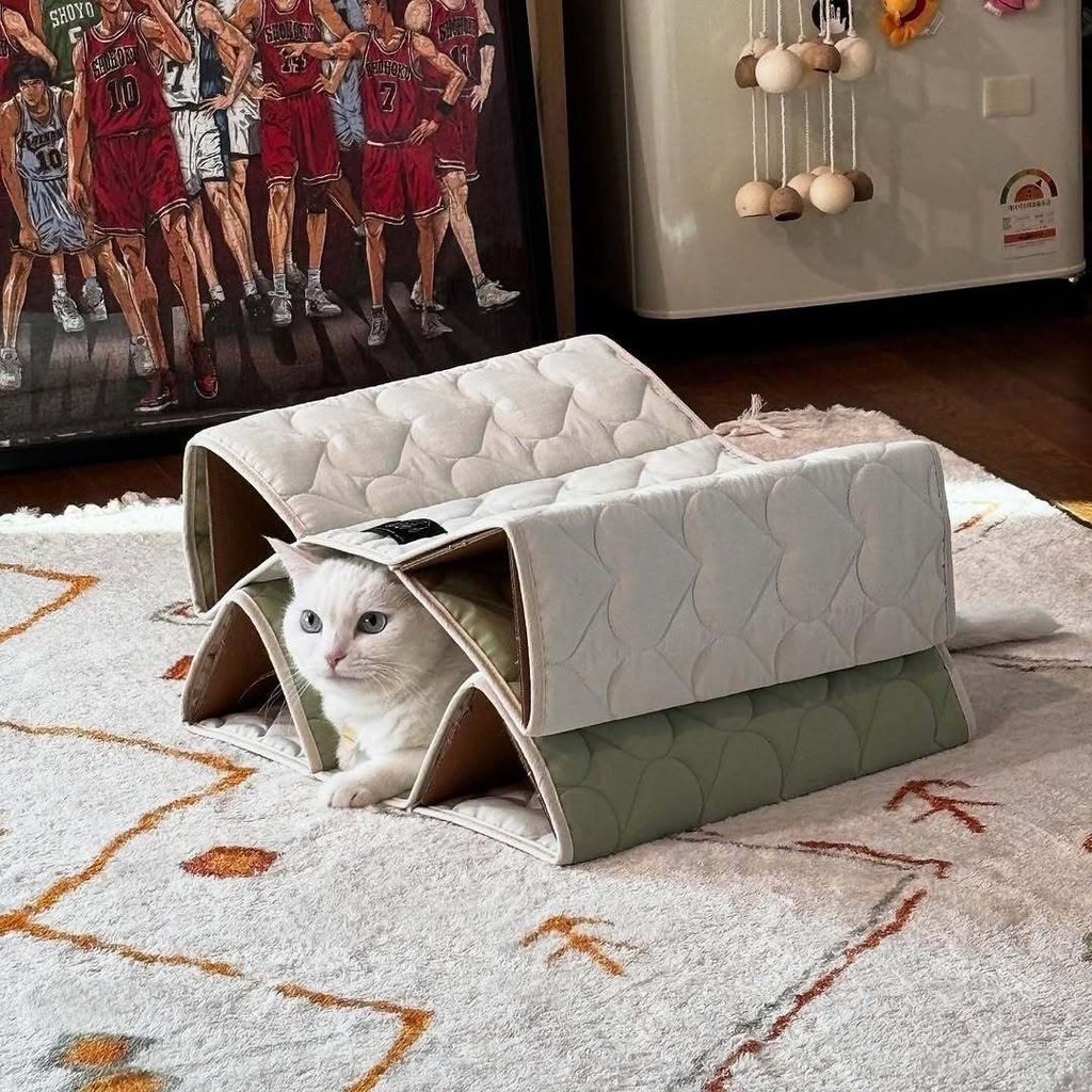 image_B73DF1CF-EAA4-4EFC-8B3E-CEA20D107B67_1753274130