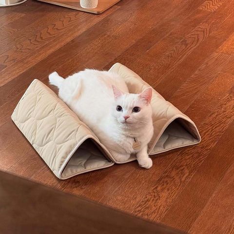 image_4544A384-9C65-4F8F-B6ED-9516A51A7719_1753274130