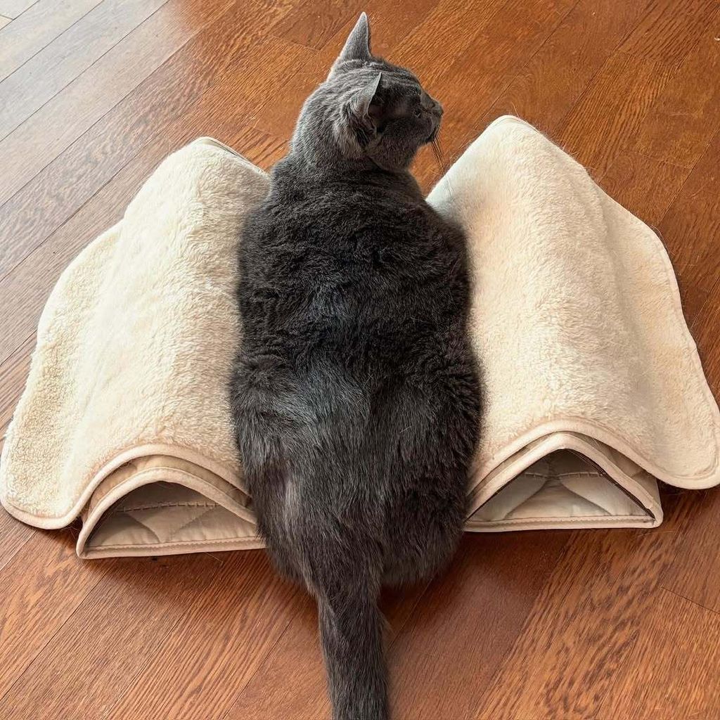 image_2265BFA5-FF80-4D6B-AFF0-D5F8E2D31E9D_1753274130