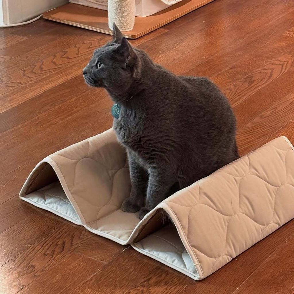 image_EA6CB55D-A7F5-4A09-B5BA-8910A316FF65_1753274130