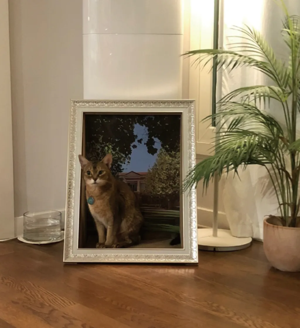 image_192C4934-A123-4A5F-9073-3E2DB628CAFF_1753642274