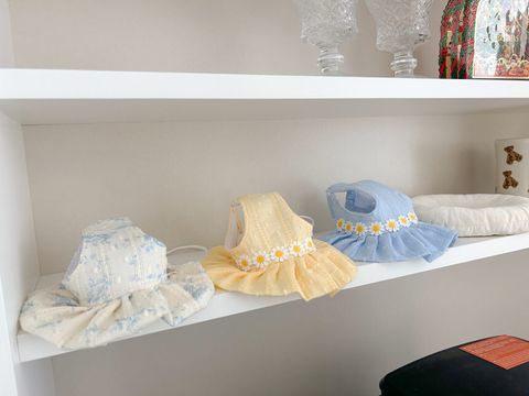 image_0B2011D3-3D63-48F2-8584-5181EB3E3D97_1753779458