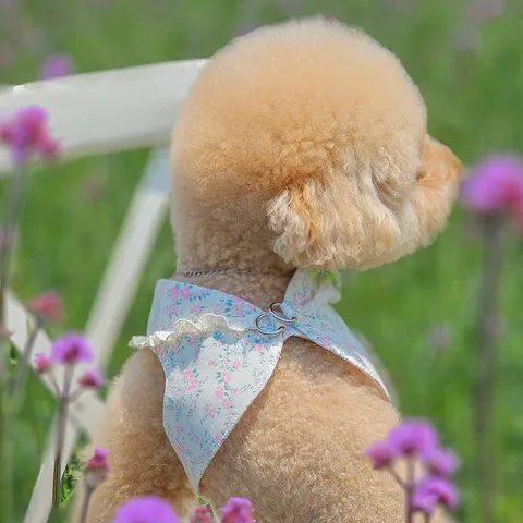 image_023507A1-EBA7-438B-947B-F769AC94A144_1753780353