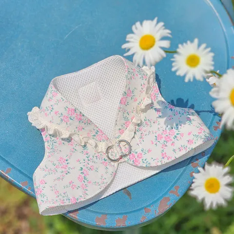 image_64B503DC-7860-4922-B5E9-C945C052C4AA_1753780353