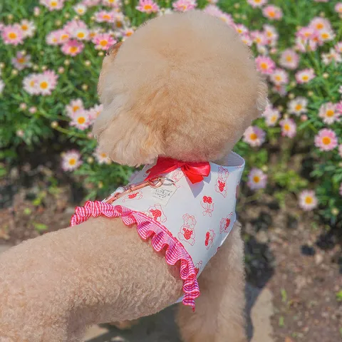 image_DC075C54-D51D-49ED-95B8-0285C4F01276_1753780463