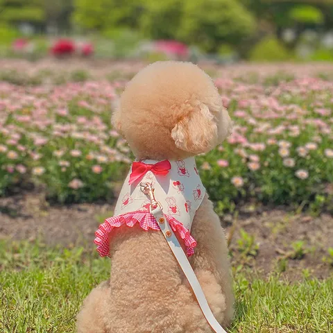 image_8323278D-DFB9-4424-A868-7E88A6ABB7A9_1753780463