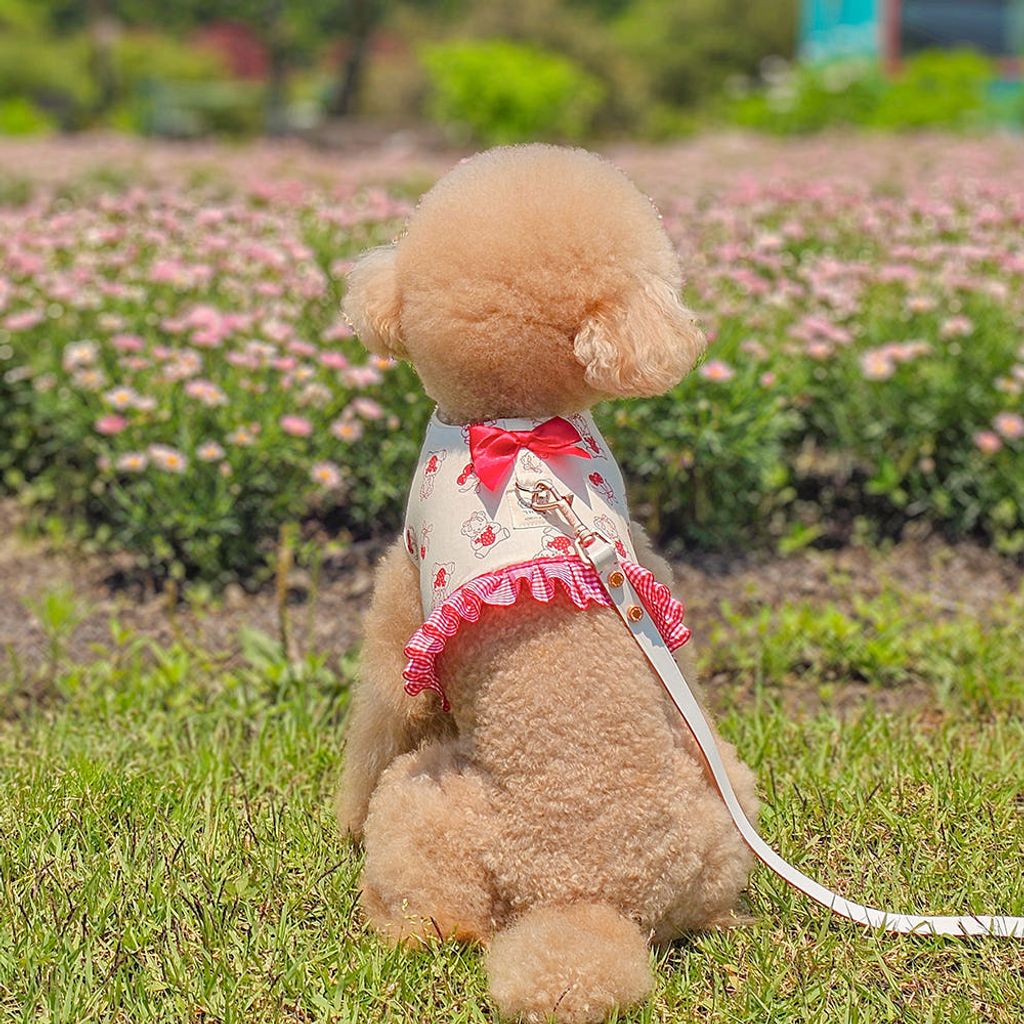 image_D1F1912D-4D73-4D85-9F5C-48702D3BF6F8_1753780463