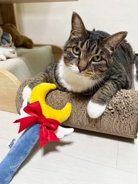 image_5AD60C71-F898-453D-A3C2-9C0B42CEC54E_1754068657