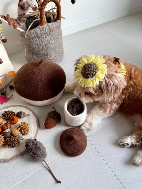 image_374C61F7-9E45-4B52-922A-800C3CD8C345_1754551754