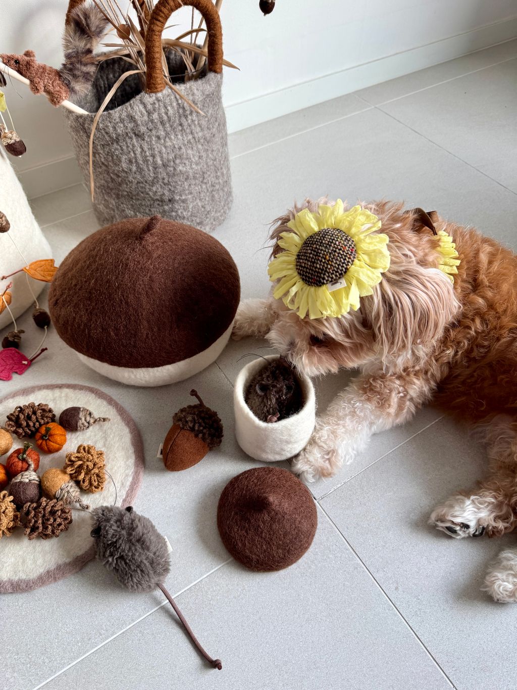 image_374C61F7-9E45-4B52-922A-800C3CD8C345_1754551754