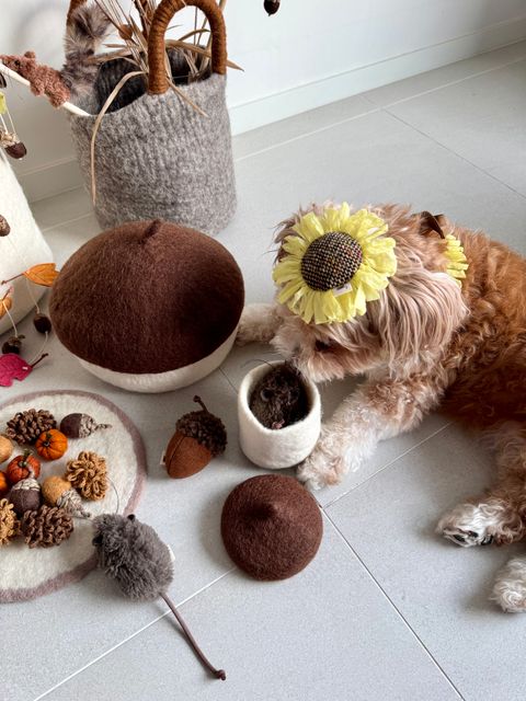 image_374C61F7-9E45-4B52-922A-800C3CD8C345_1754551754