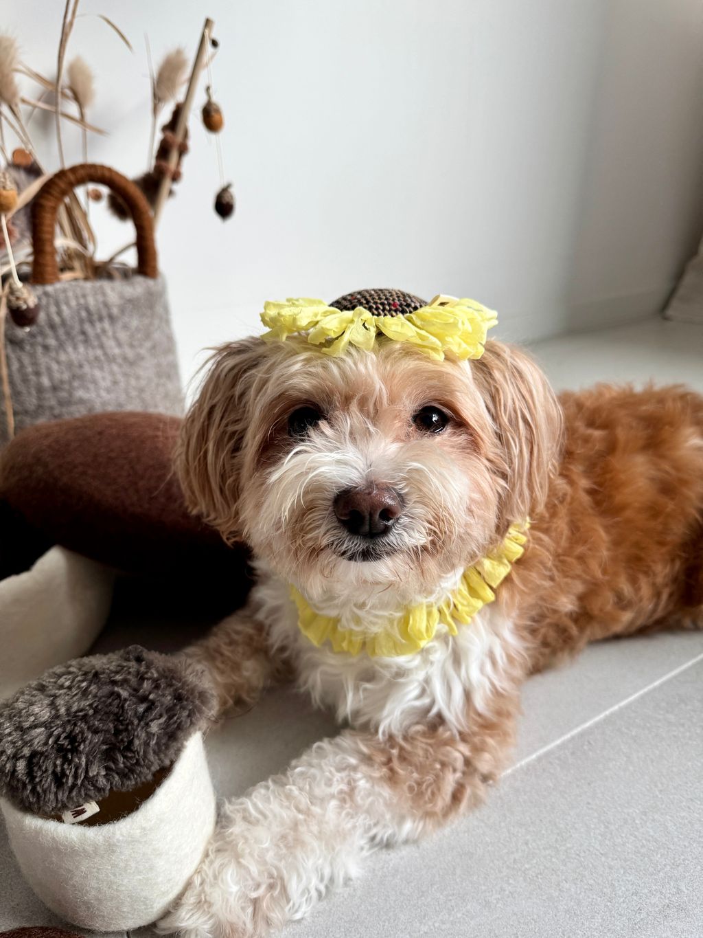 image_95E508C1-C380-427E-AEBD-461773DEC26D_1754551754