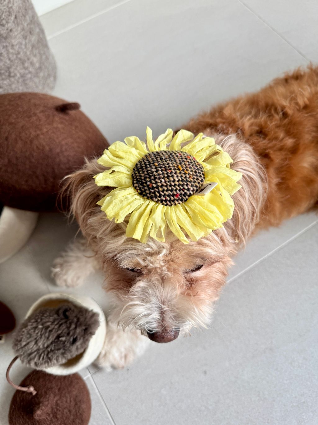 image_9E6998DC-3818-4802-B3EE-7E9BEAE504B7_1754551754