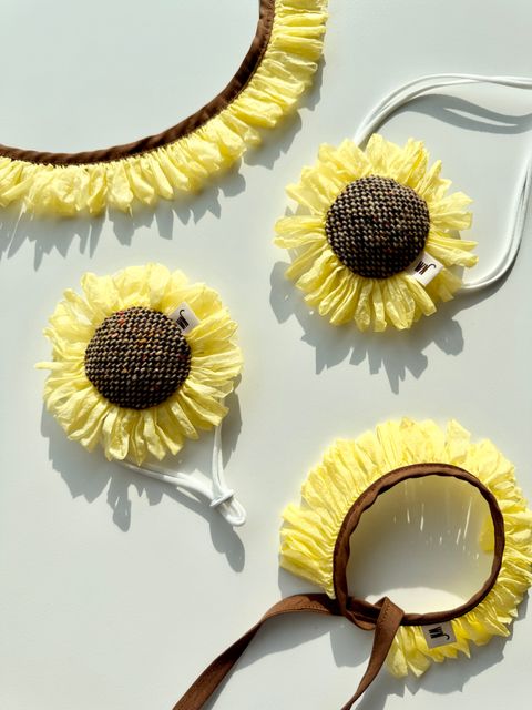 image_D3E745F1-B12E-4A6A-9253-EC9378FB0511_1754551754